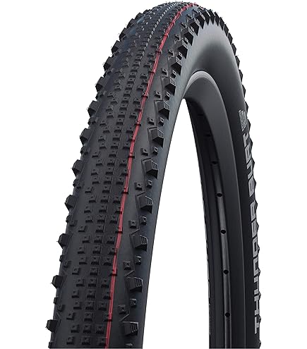 Amazon.com : Schwalbe - Thunder Burt MTB and Cross Tubeless